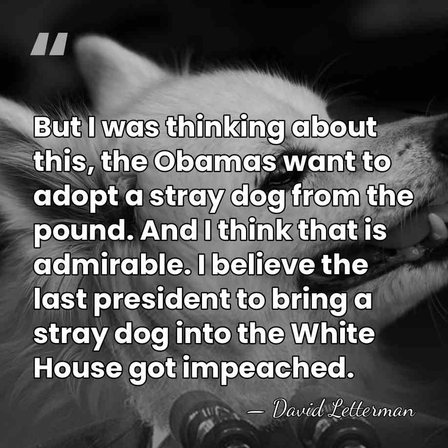 But I was thinking about this, the Obamas want to adopt a&hellip; - David Letterman