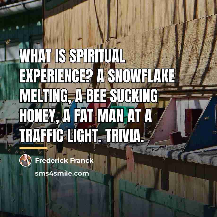 “What is spiritual experience? A snowflake melting, a bee sucking…” quote by Frederick Franck