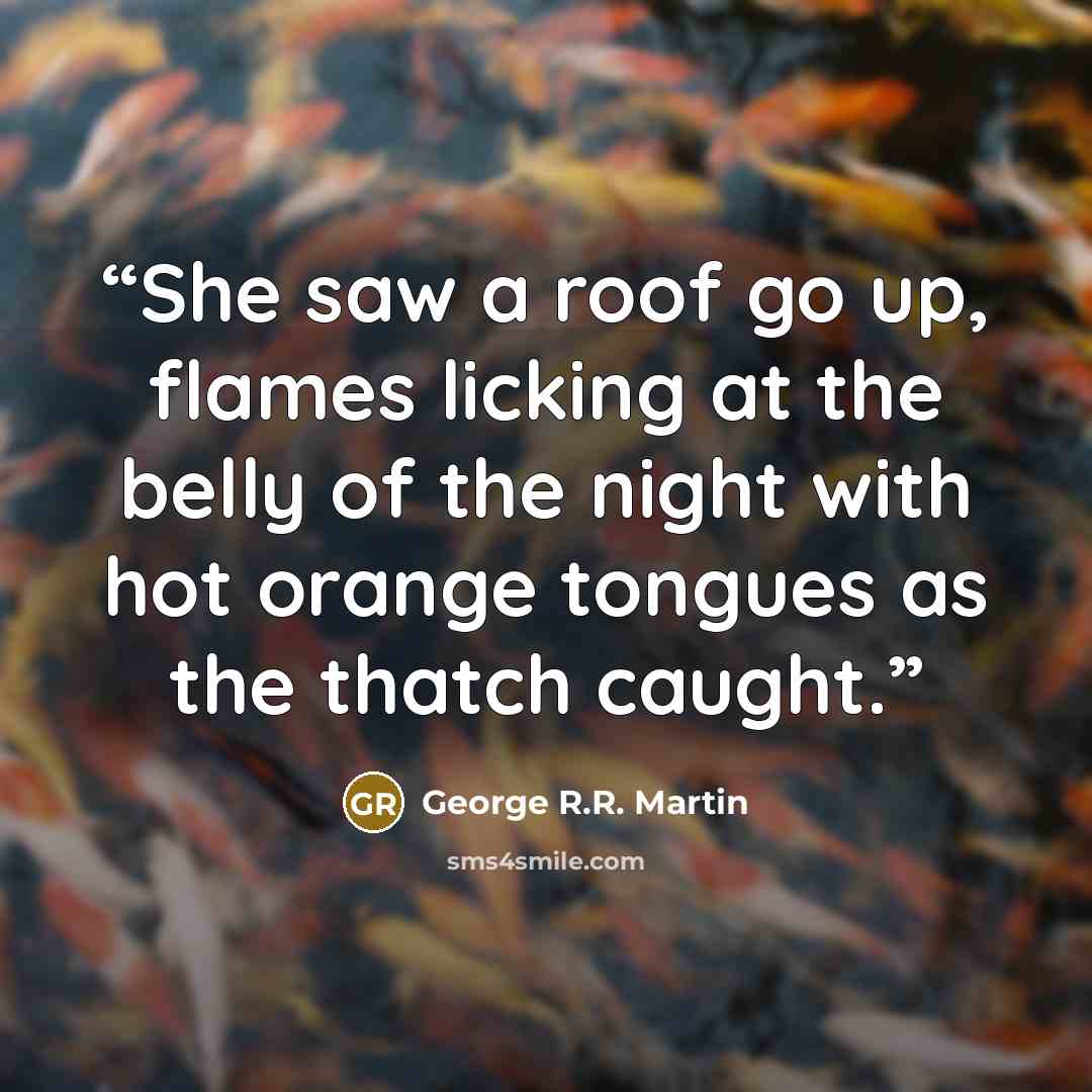“She saw a roof go up, flames licking at the belly of the night with hot orange tongues as the thatch caught.” quote by George R.R. Martin