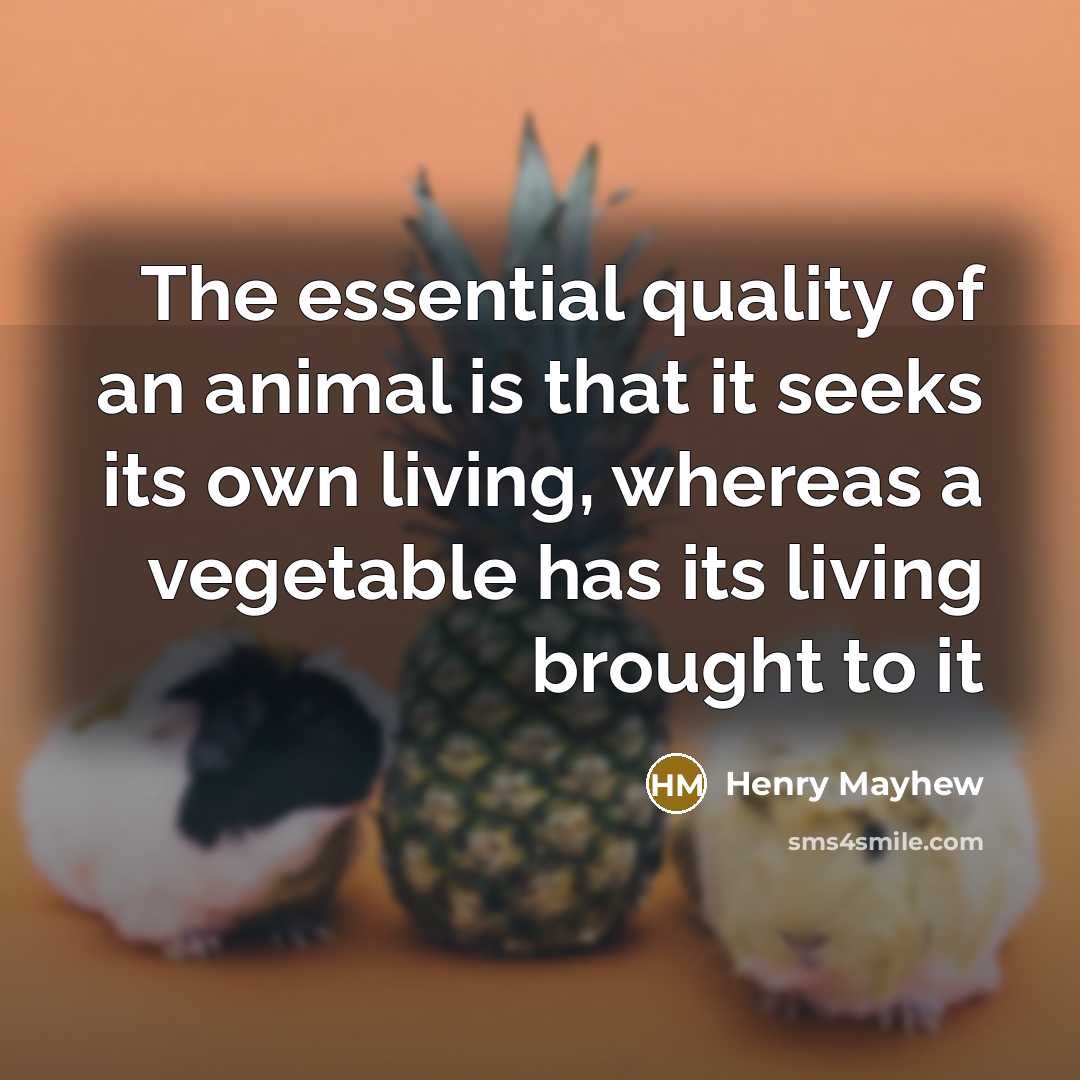 “The essential quality of an animal is that it seeks…” quote by Henry Mayhew