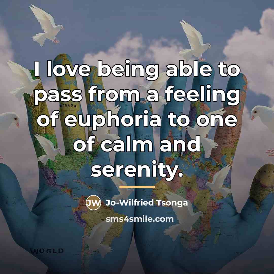 “I love being able to pass from a feeling of…” quote by Jo-Wilfried Tsonga