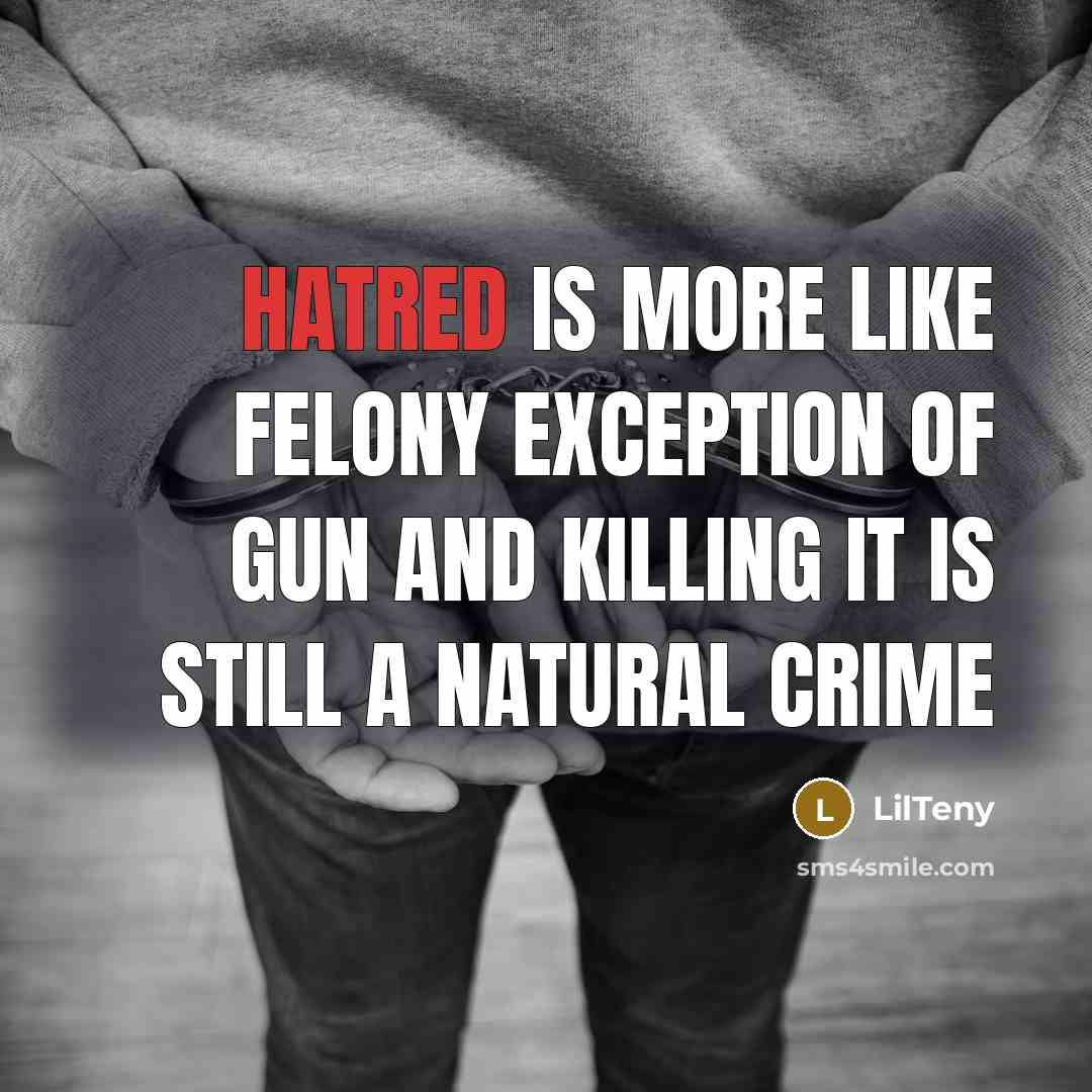 “Hatred is more like felony exception of gun and killing…” quote by LilTeny