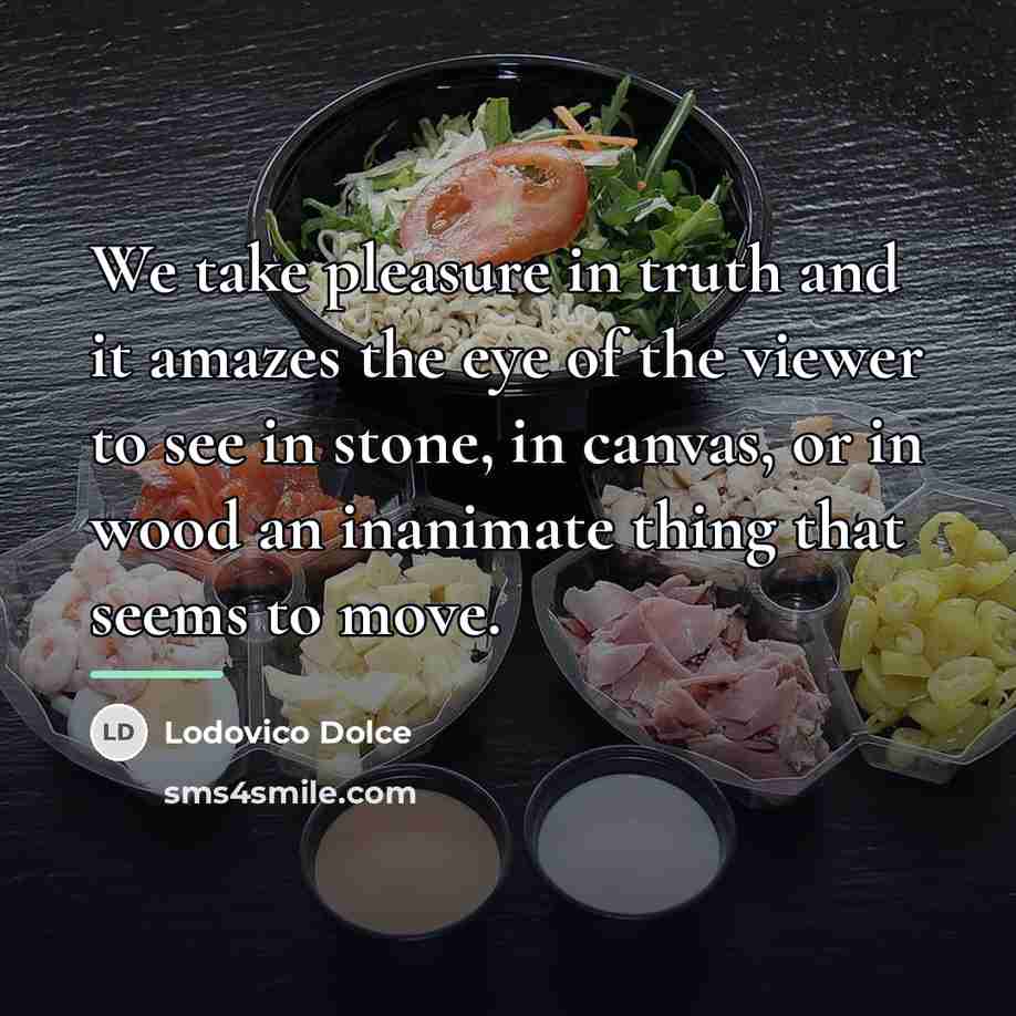 “We take pleasure in truth and it amazes the eye…” quote by Lodovico Dolce