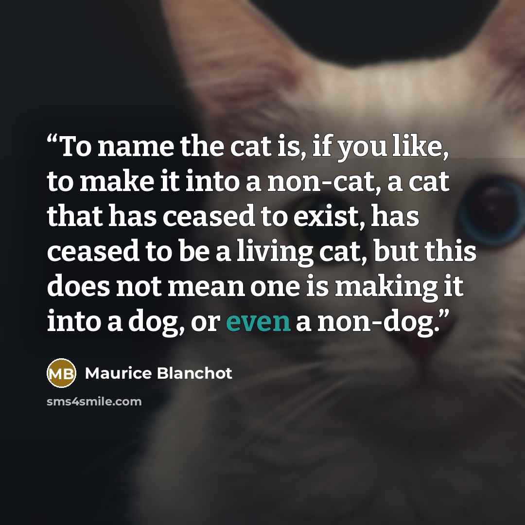 “To name the cat is, if you like, to make it into a non-cat, a cat that has ceased to exist, has ceased to be a living cat, but this does not mean one is making it into a dog, or even a non-dog.” quote by Maurice Blanchot