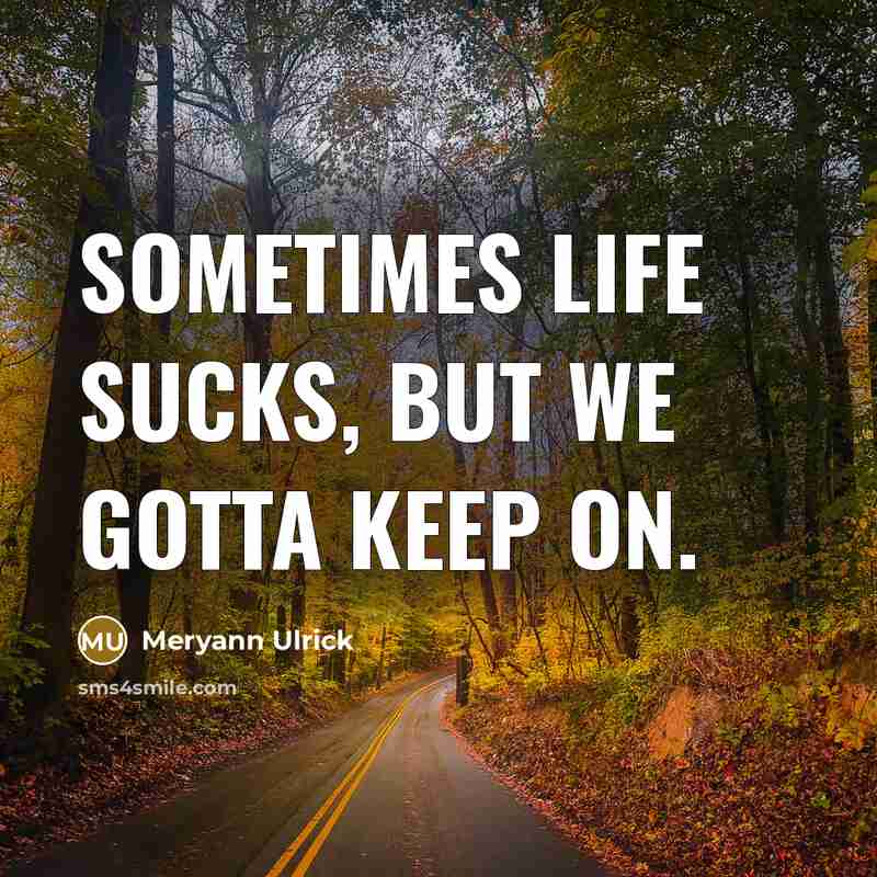 “Sometimes life sucks, but we gotta keep on.…” quote by MeryAnn Ulrick