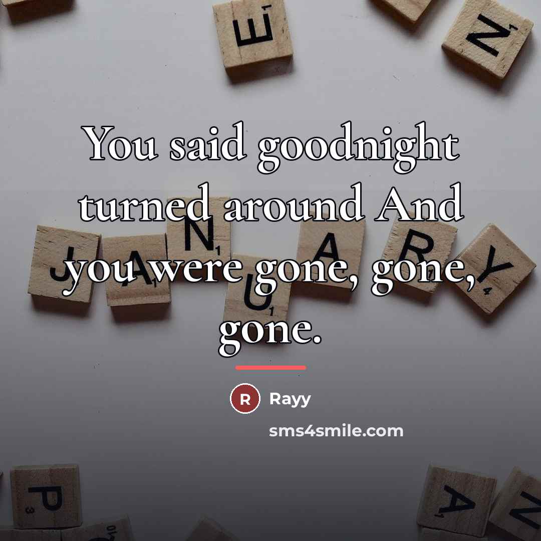 “You said goodnight turned around And you were gone, gone,…” quote by Rayy
