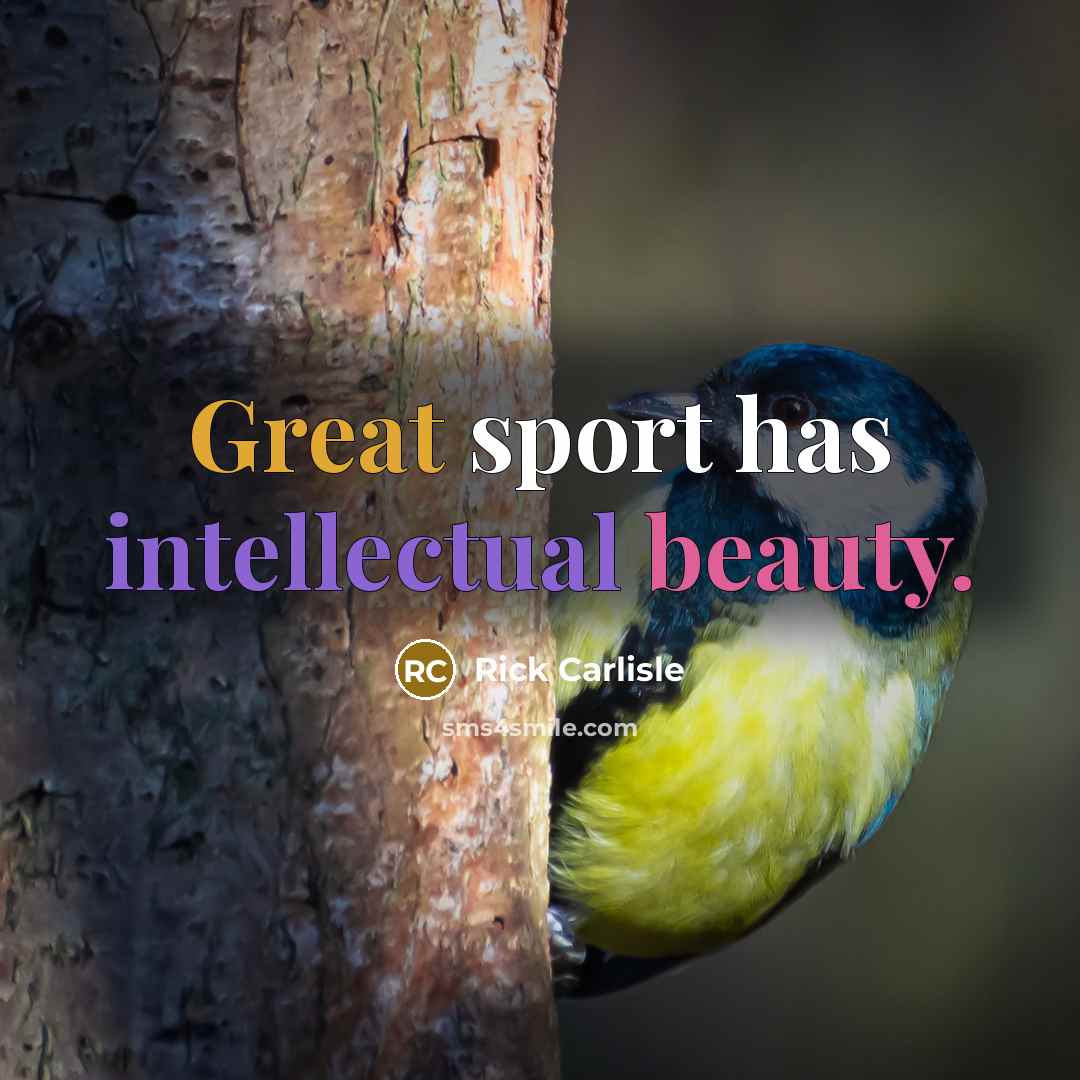 “Great sport has intellectual beauty.” quote by Rick Carlisle