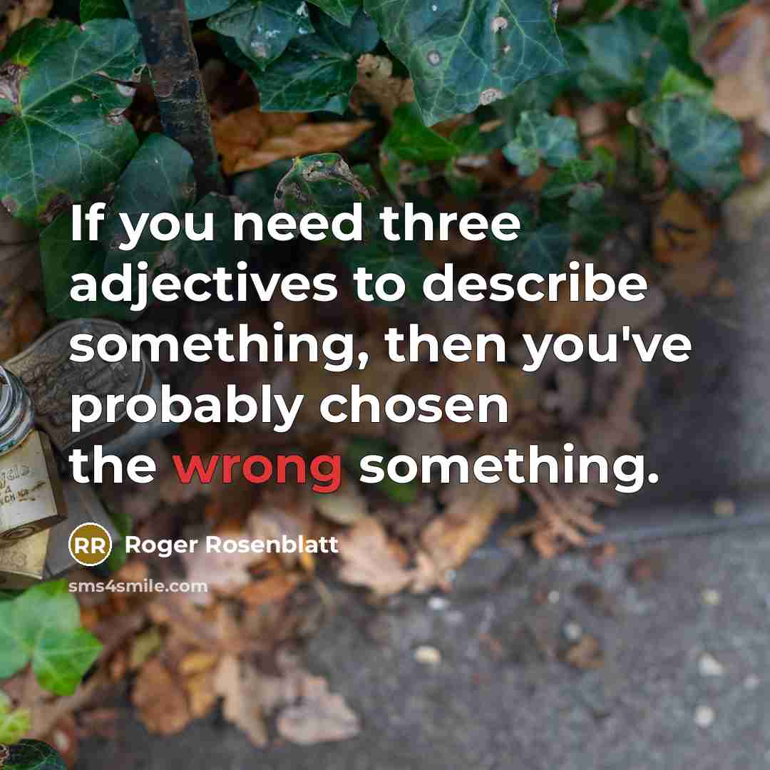 “If you need three adjectives to describe something, then you've…” quote by Roger Rosenblatt