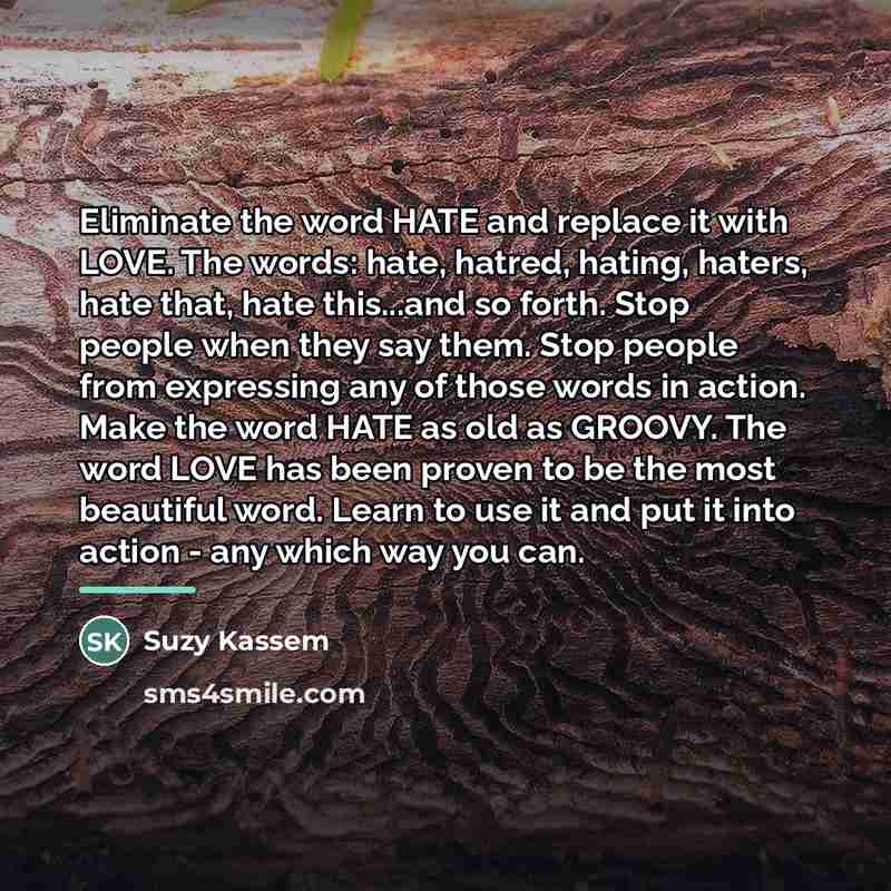 “Eliminate the word HATE and replace it with LOVE. The…” quote by Suzy Kassem
