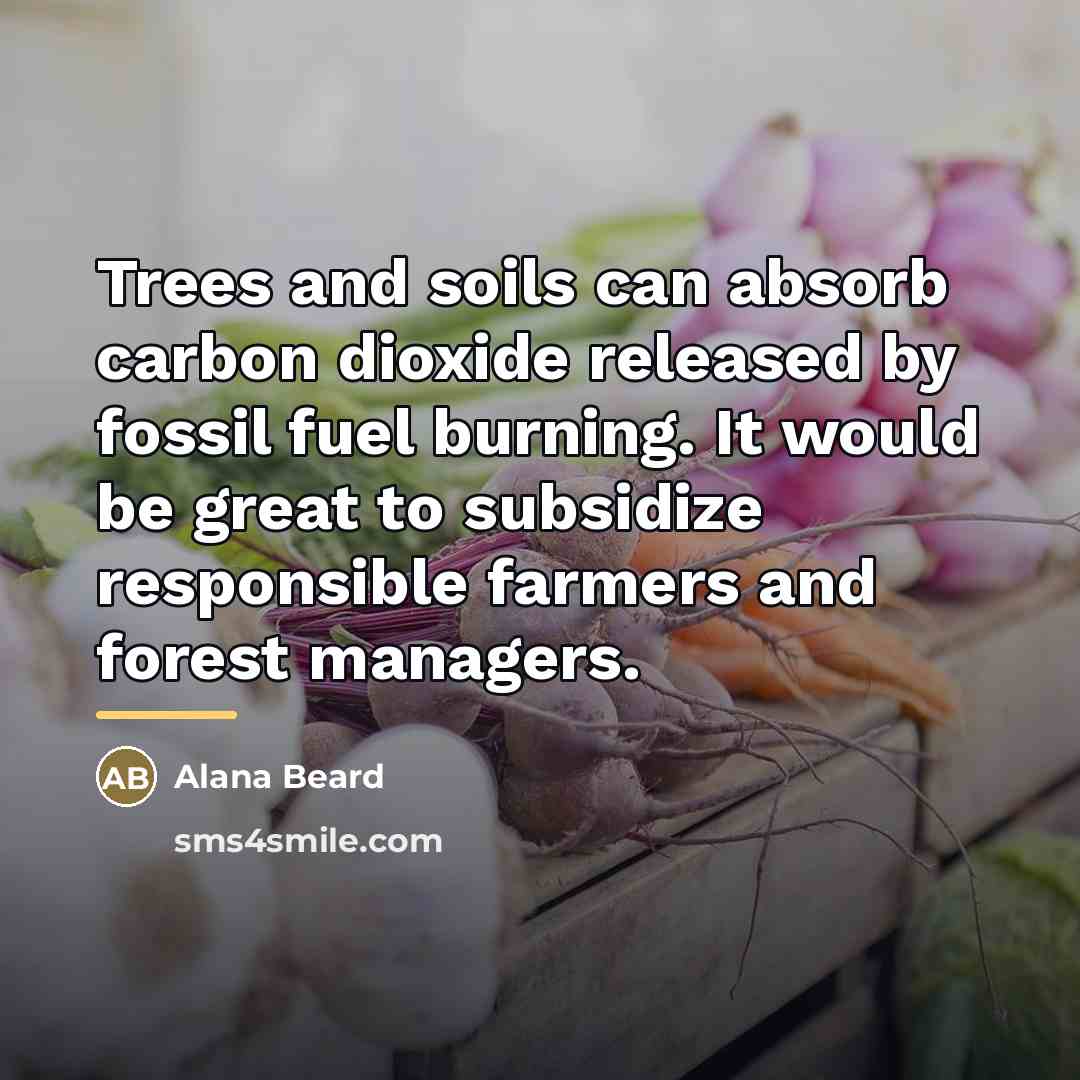 “Trees and soils can absorb carbon dioxide released by fossil…” quote by Alana Beard