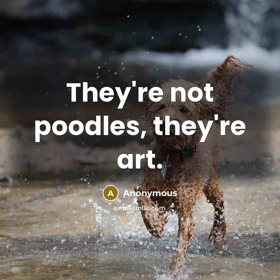 “They're not poodles, they're art.” quote by Anonymous