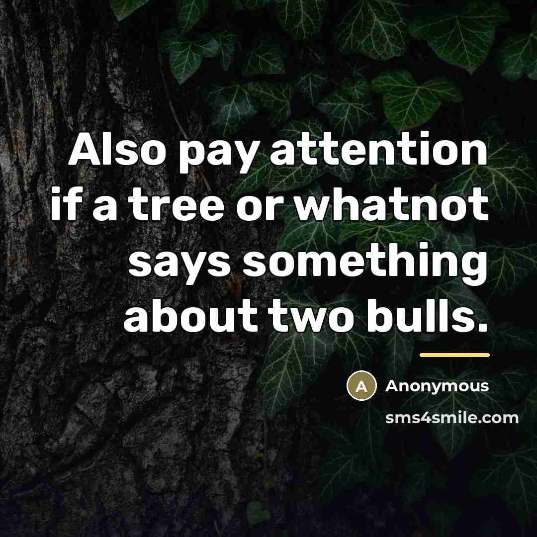 “Also pay attention if a tree or whatnot says something…” quote by Anonymous