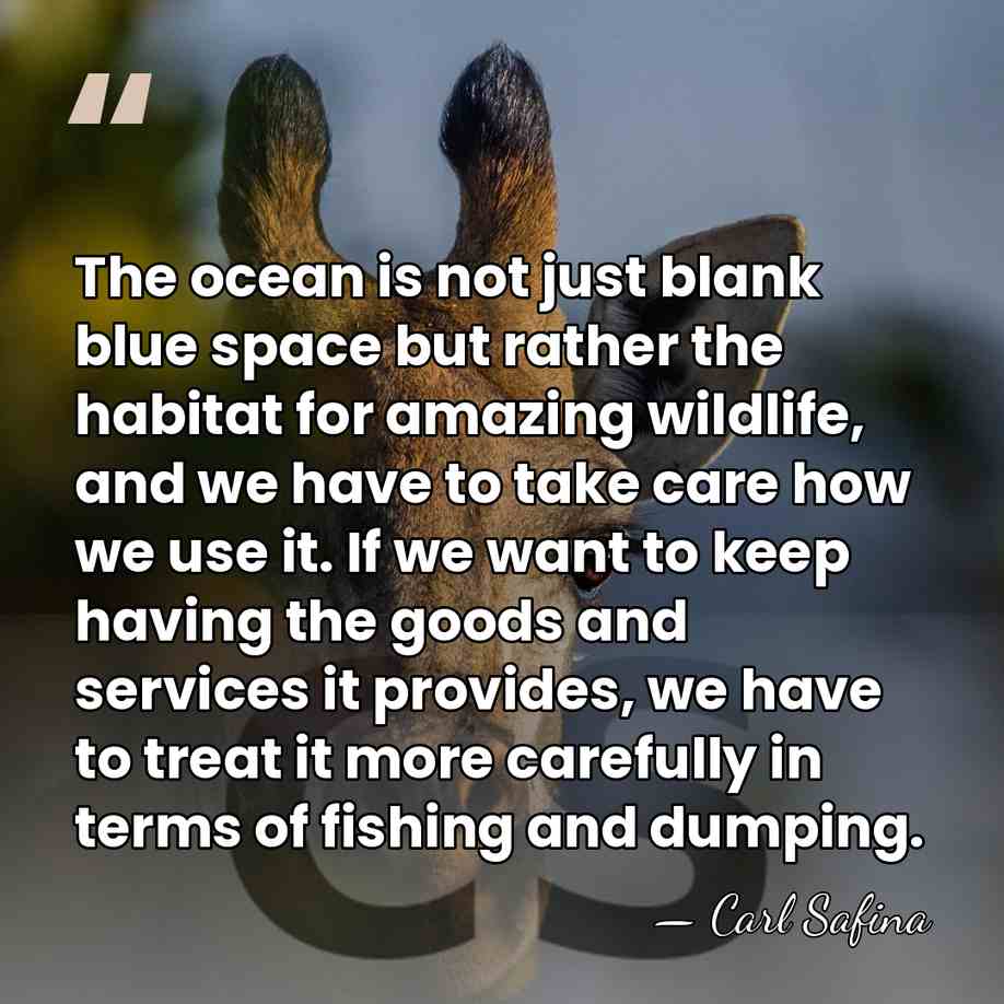 The ocean is not just blank blue space but rather the habitat&hellip; - Carl Safina
