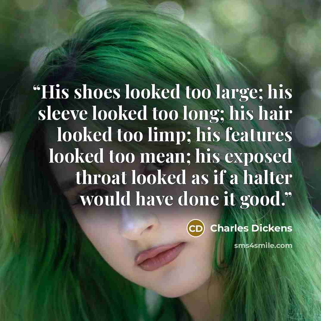 “His shoes looked too large; his sleeve looked too long; his hair looked too limp; his features looked too mean; his exposed throat looked as if a halter would have done it good.” quote by Charles Dickens