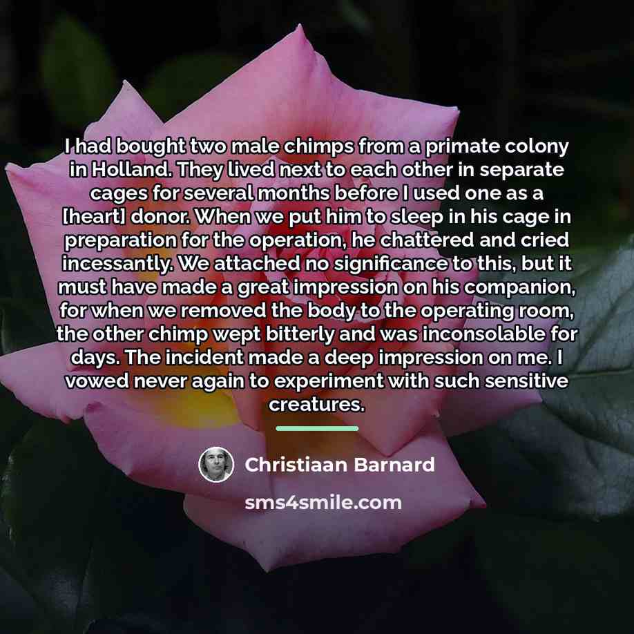 “I had bought two male chimps from a primate colony…” quote by Christiaan Barnard
