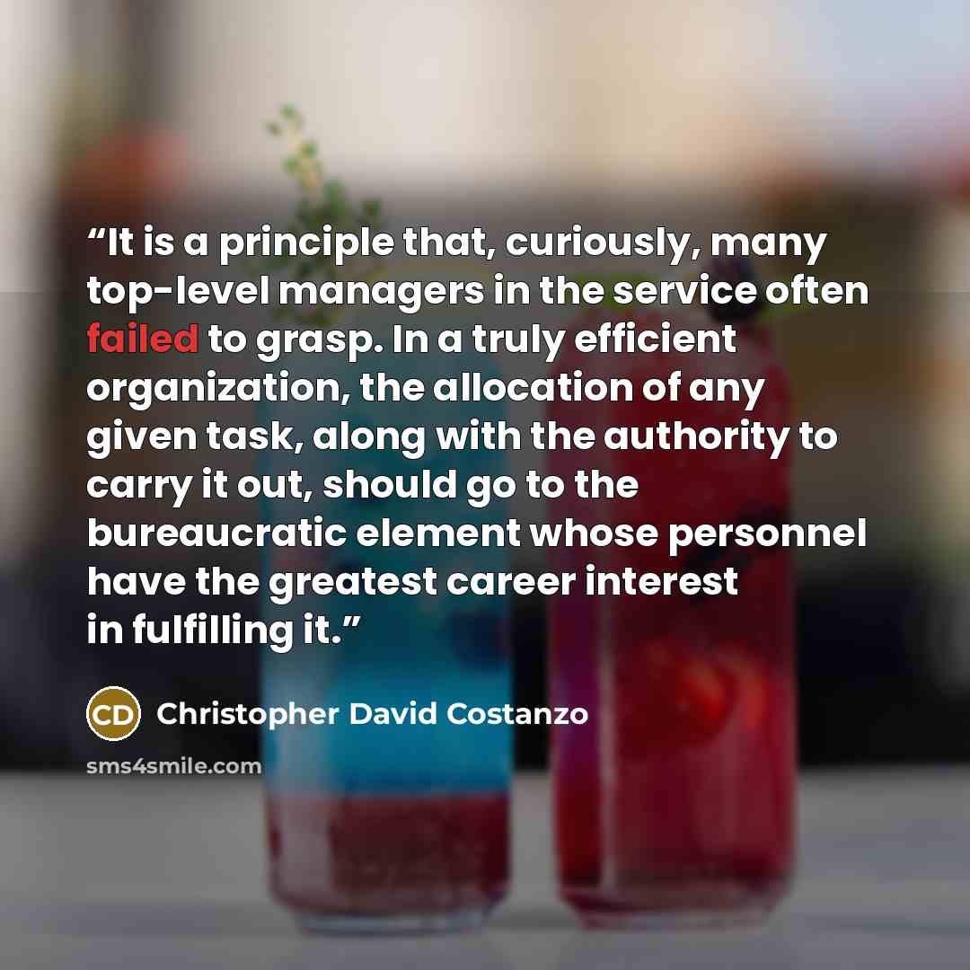 “It is a principle that, curiously, many top-level managers in the service often failed to grasp. In a truly efficient organization, the allocation of any given task, along with the authority to carry it out, should go to the bureaucratic element whose personnel have the greatest career interest in…” quote by Christopher David Costanzo