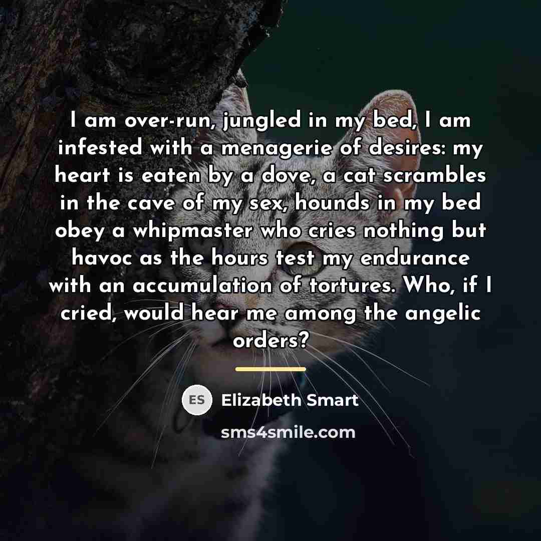 “I am over-run, jungled in my bed, I am infested…” quote by Elizabeth Smart