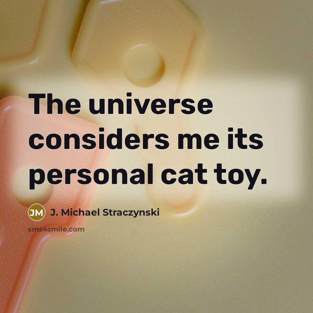 “The universe considers me its personal cat toy.…” quote by J. Michael Straczynski