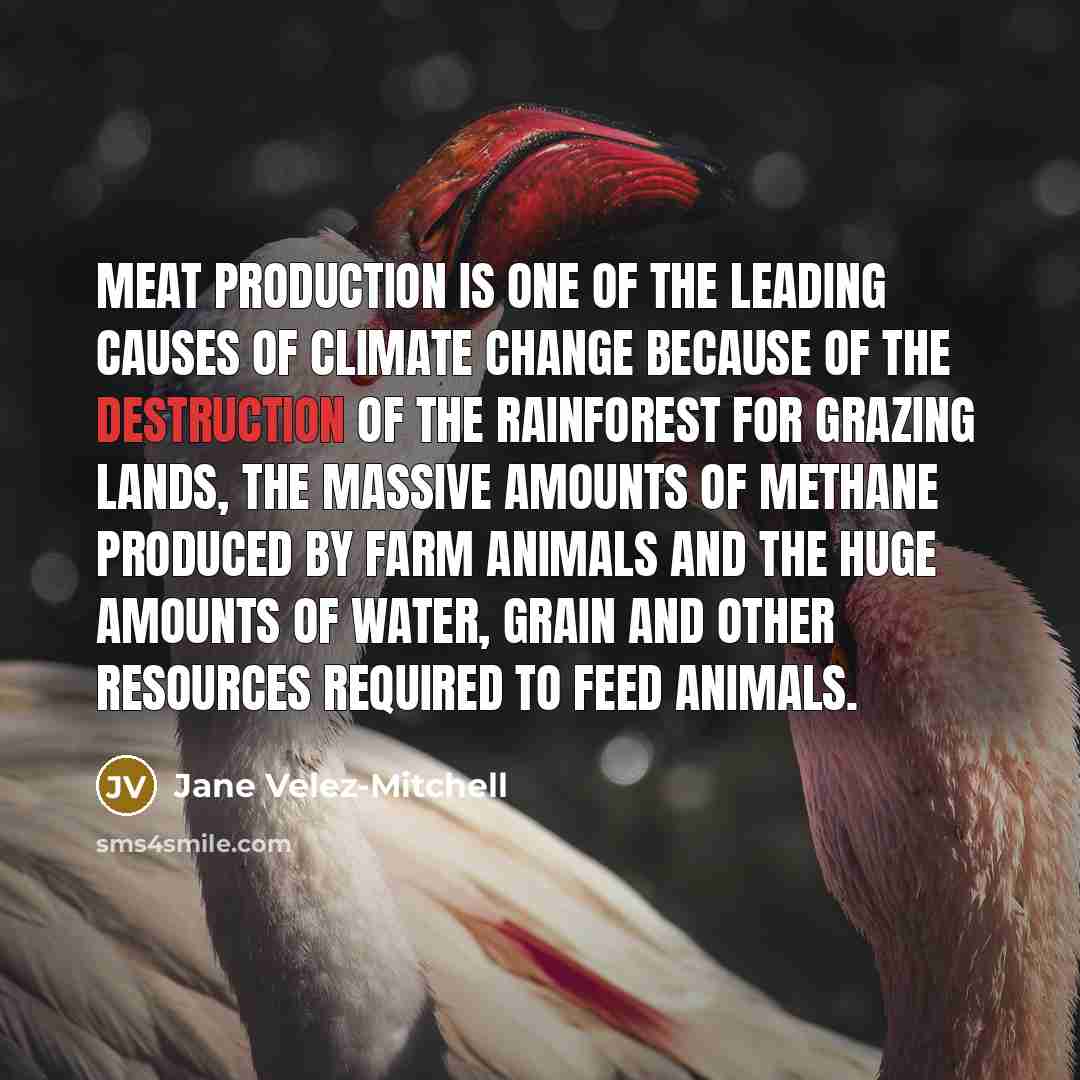 “Meat production is one of the leading causes of climate…” quote by Jane Velez-Mitchell