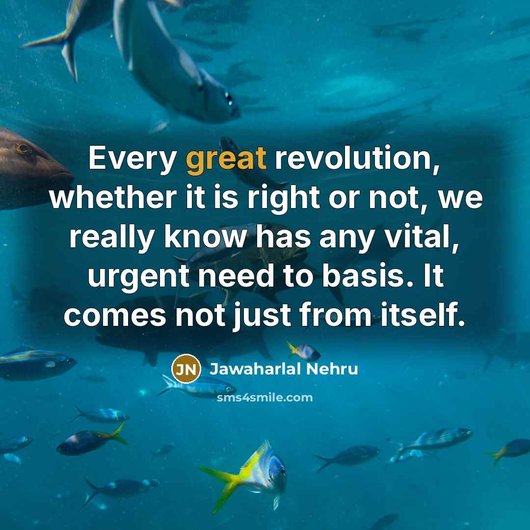 “Every great revolution, whether it is right or not, we…” quote by Jawaharlal Nehru