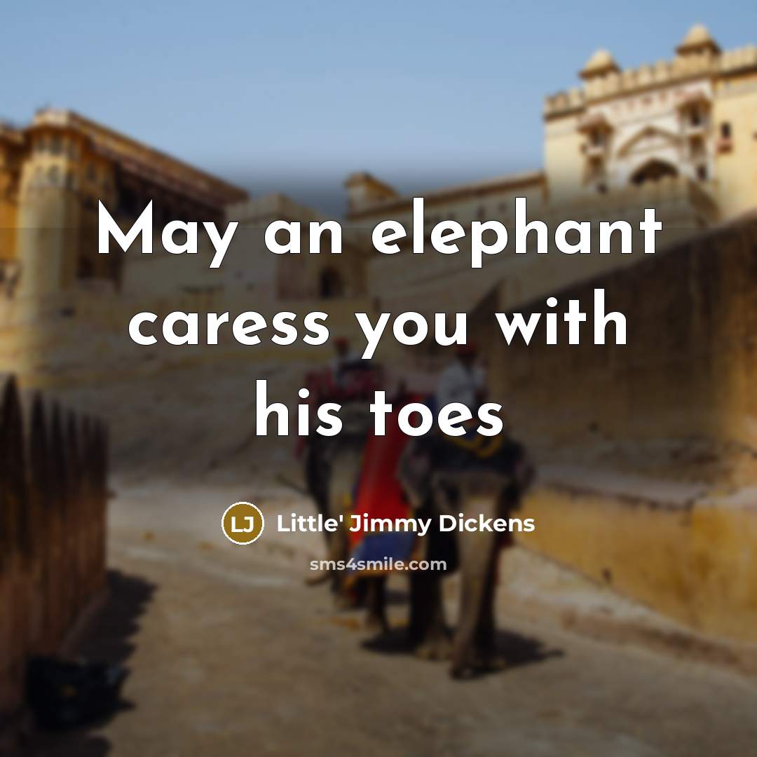 “May an elephant caress you with his toes…” quote by Little' Jimmy Dickens