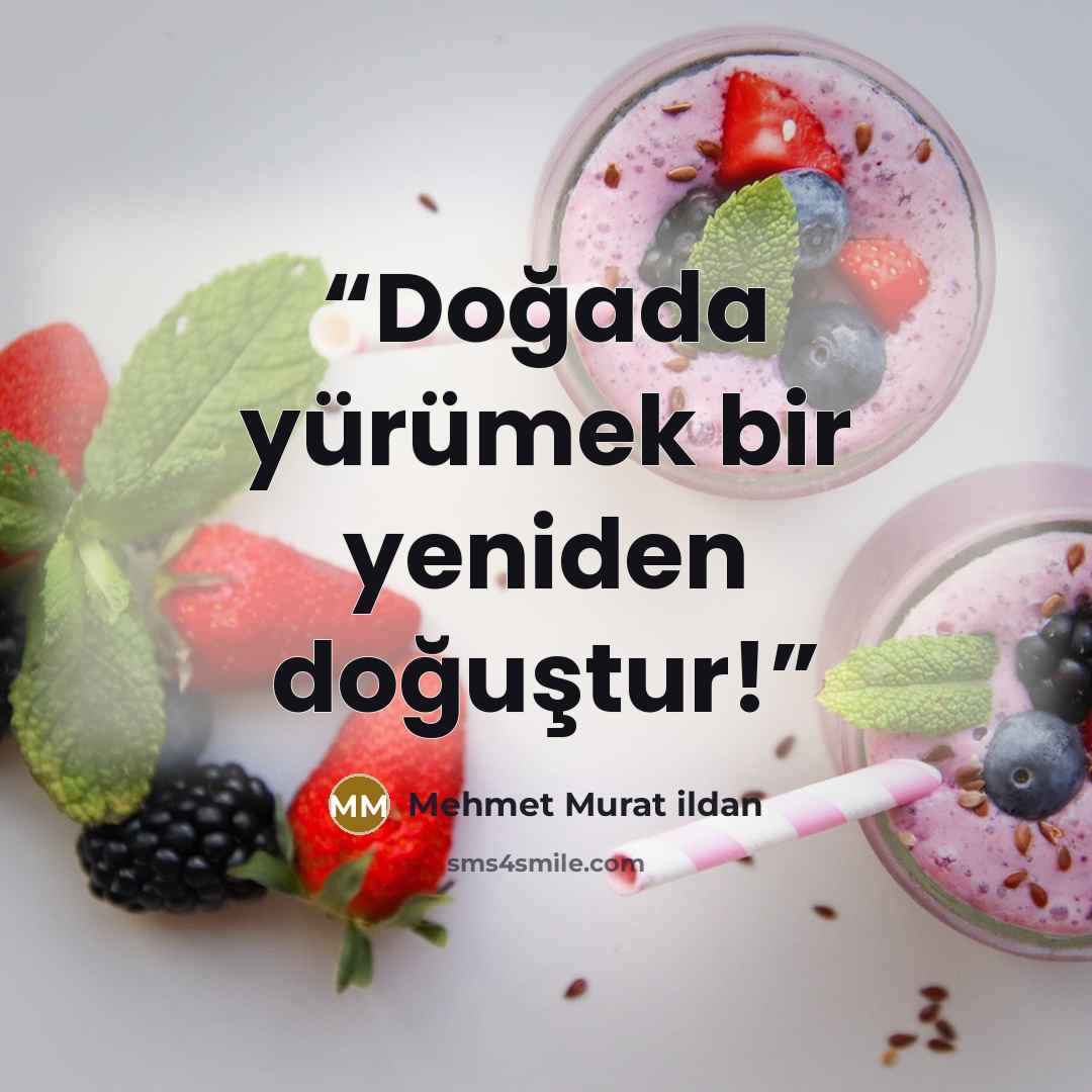 “Doğada yürümek bir yeniden doğuştur!” quote by Mehmet Murat ildan