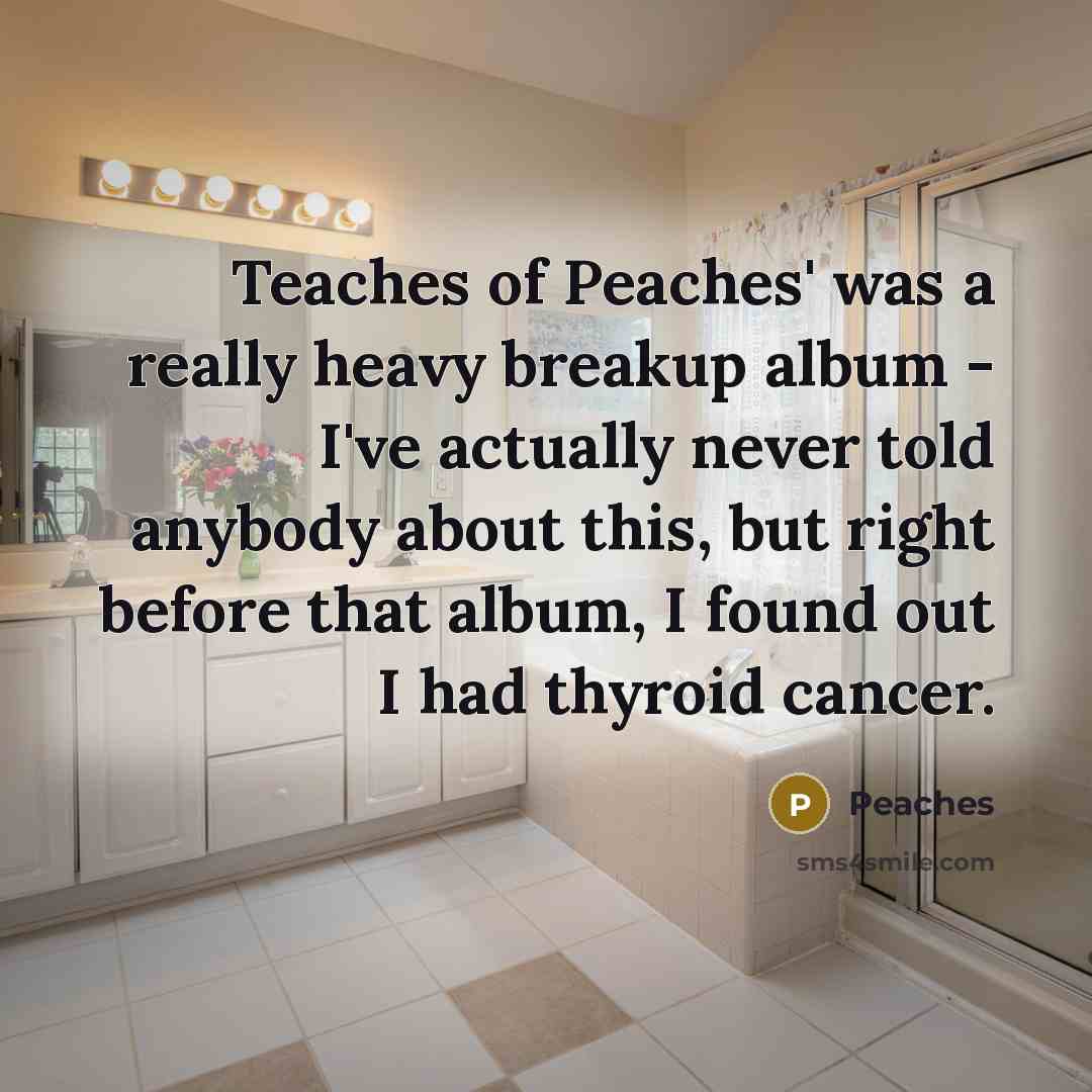 “Teaches of Peaches' was a really heavy breakup album -…” quote by Peaches