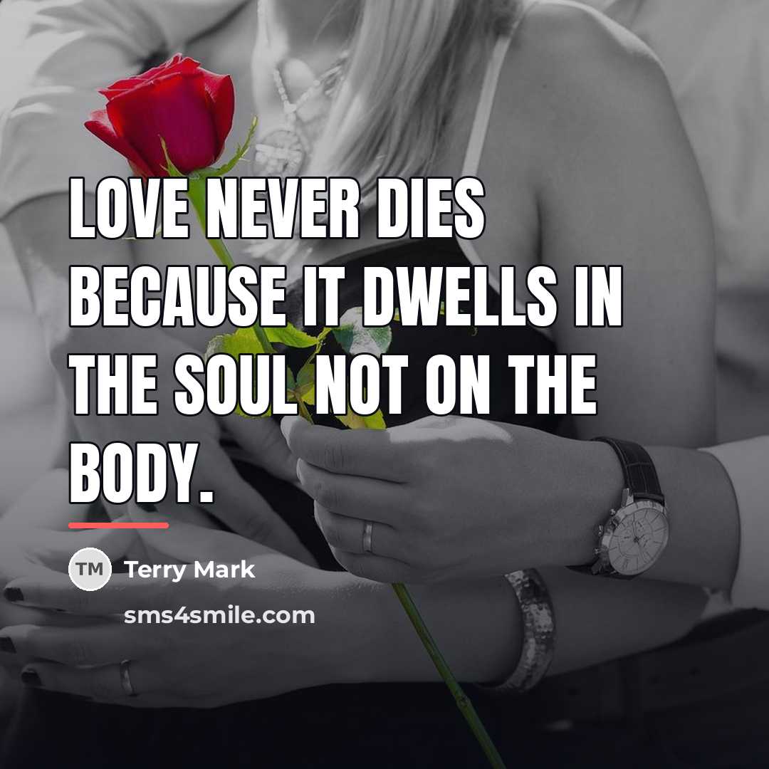 “Love never dies because it dwells in the soul not…” quote by Terry Mark