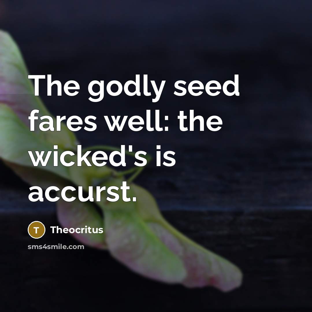 “The godly seed fares well: the wicked's is accurst.…” quote by Theocritus
