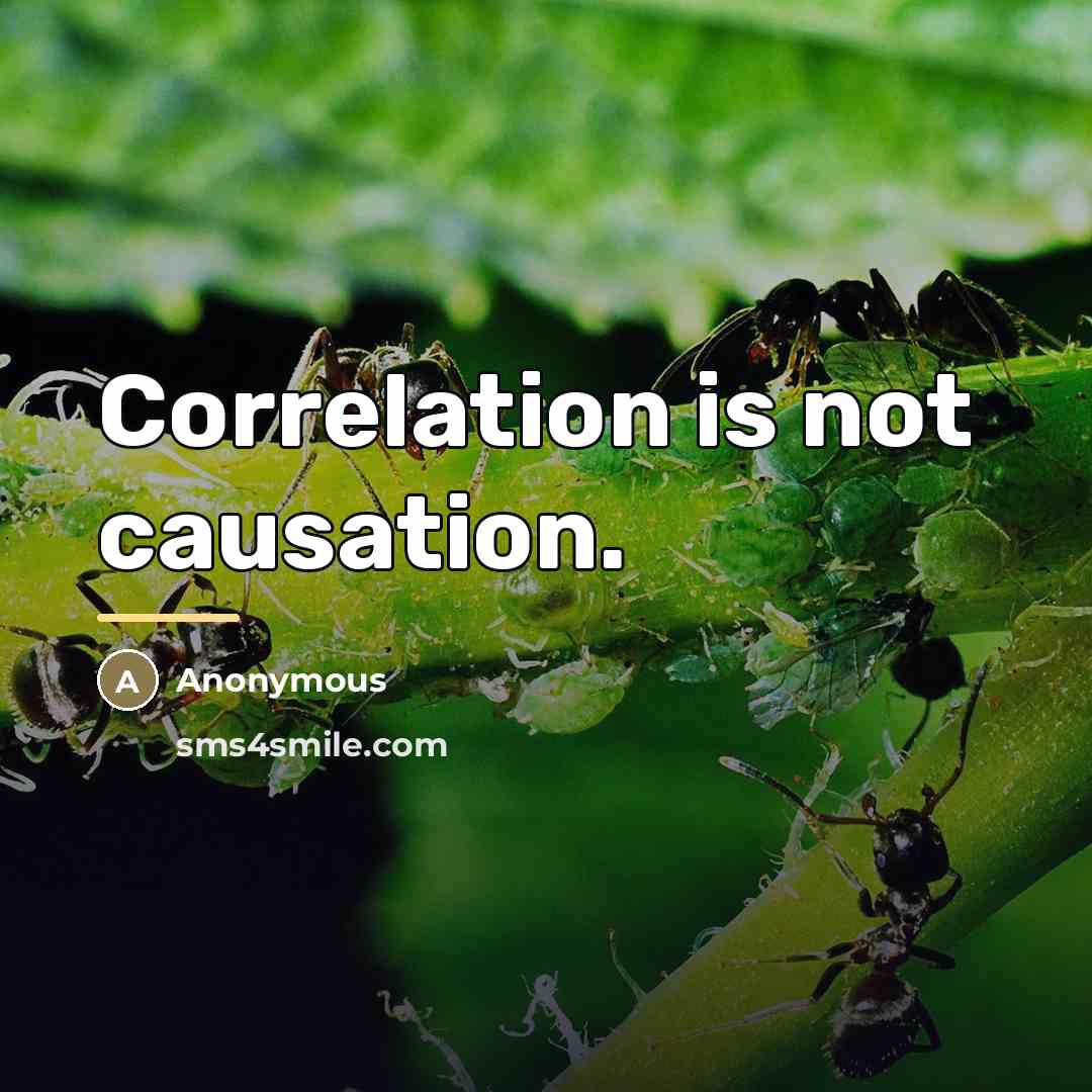 “Correlation is not causation.…” quote by Anonymous