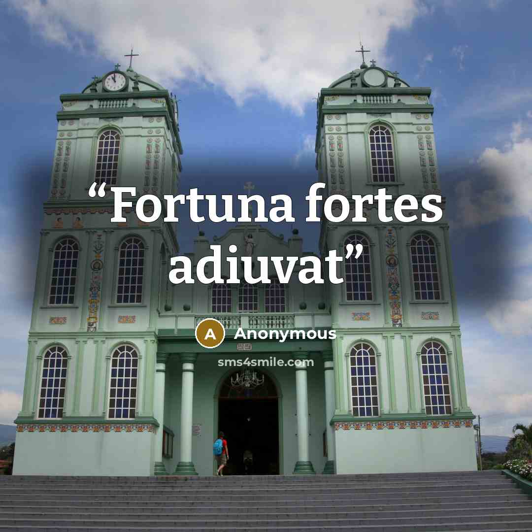 “Fortuna fortes adiuvat” quote by Anonymous