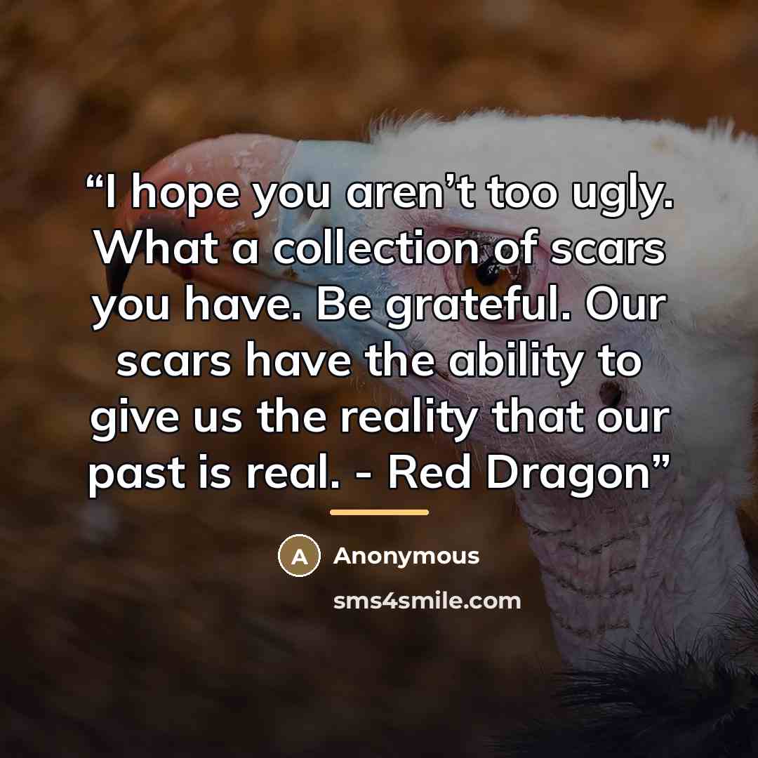 “I hope you aren’t too ugly. What a collection of scars you have. Be grateful. Our scars have the ability to give us the reality that our past is real. - Red Dragon” quote by Anonymous