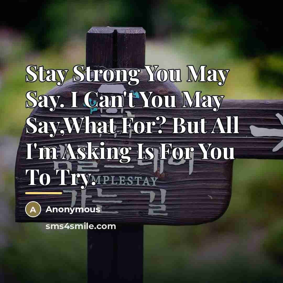 “Stay Strong You May Say. I Can't You May Say,What…” quote by Anonymous