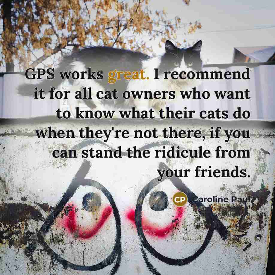 “GPS works great. I recommend it for all cat owners…” quote by Caroline Paul
