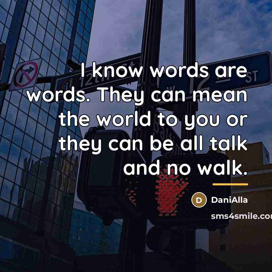 “I know words are words. They can mean the world…” quote by DaniAlla