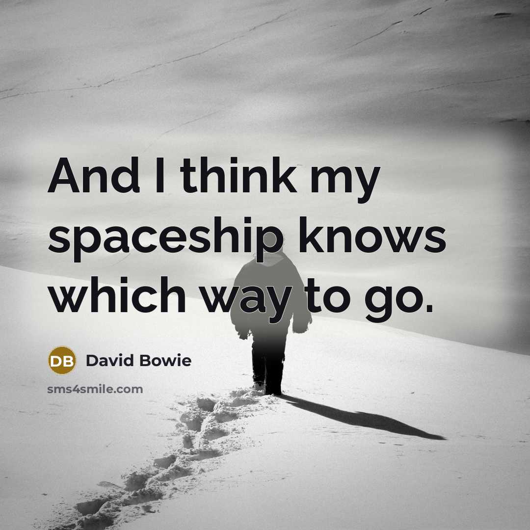 “And I think my spaceship knows which way to go.…” quote by David Bowie