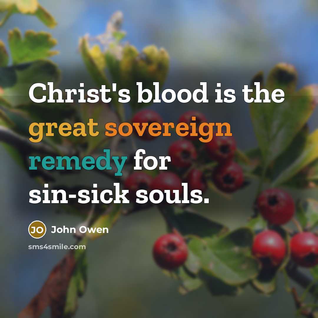“Christ's blood is the great sovereign remedy for sin-sick souls.…” quote by John Owen