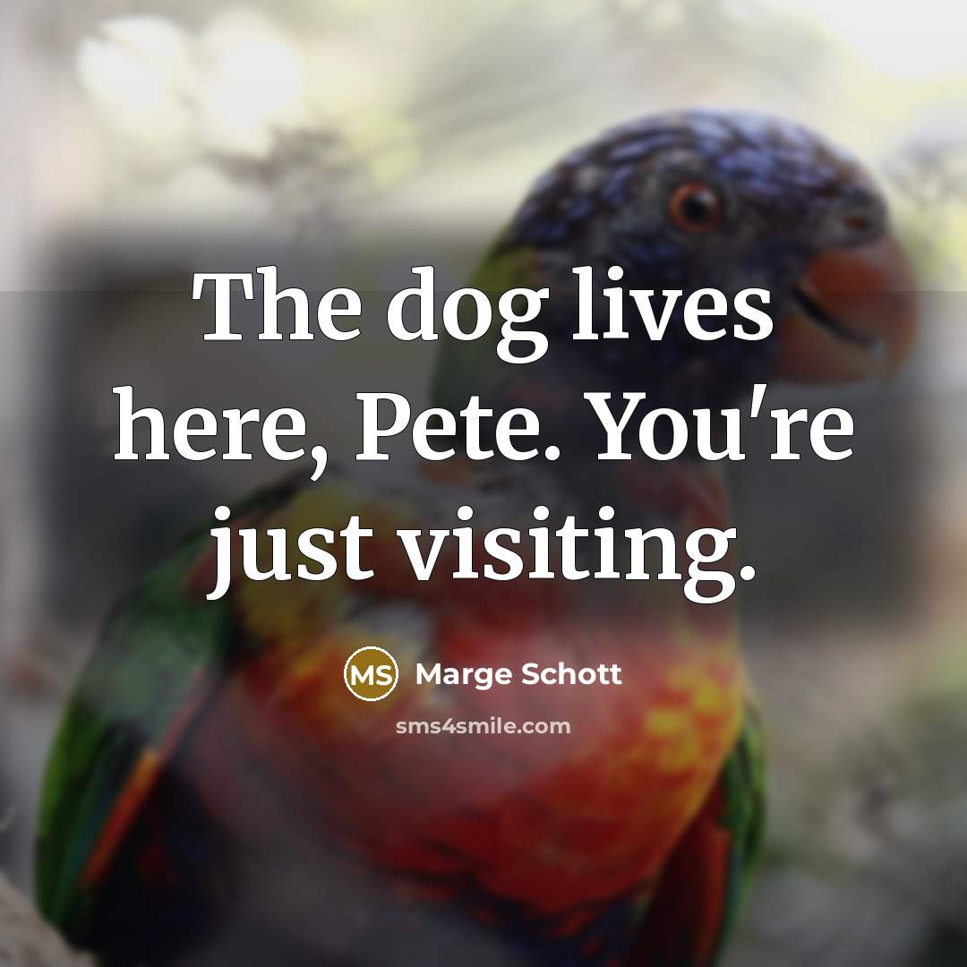 “The dog lives here, Pete. You're just visiting.” quote by Marge Schott