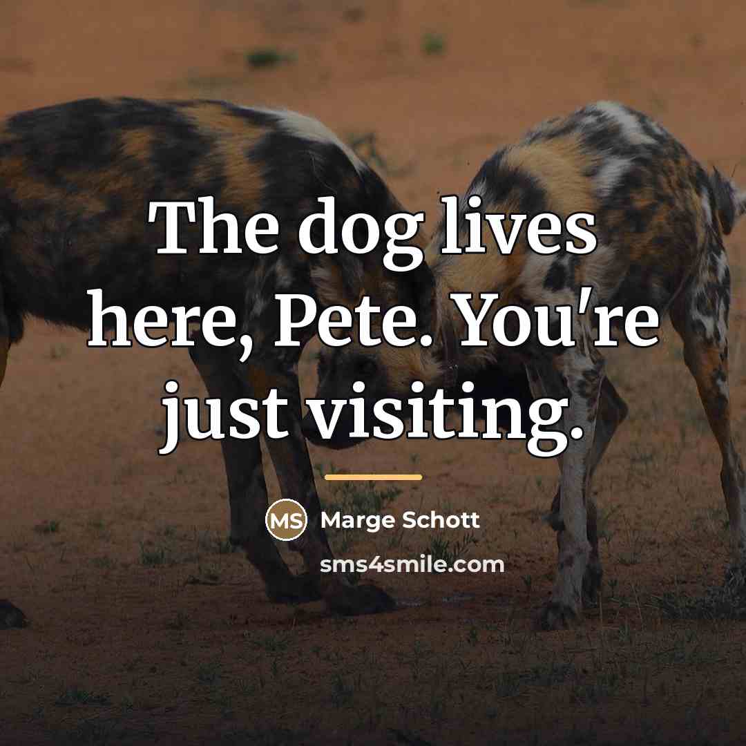 “The dog lives here, Pete. You're just visiting.…” quote by Marge Schott