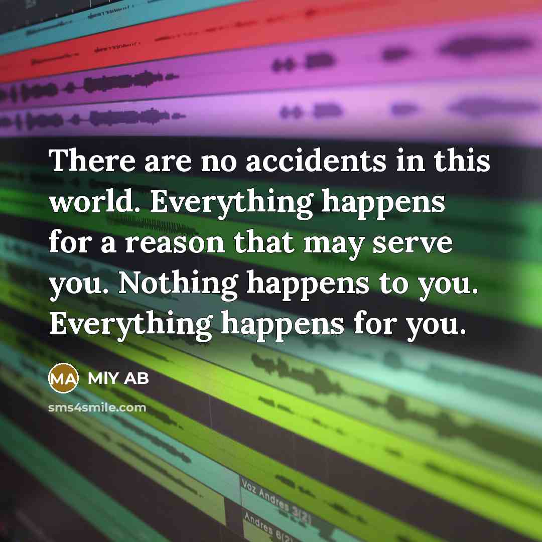 “There are no accidents in this world. Everything happens for a reason that may serve you. Nothing happens to you. Everything happens for you.” quote by MlY AB