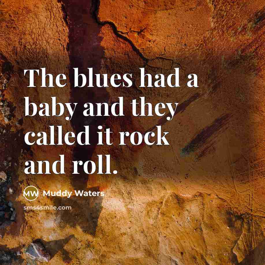 “The blues had a baby and they called it rock…” quote by Muddy Waters