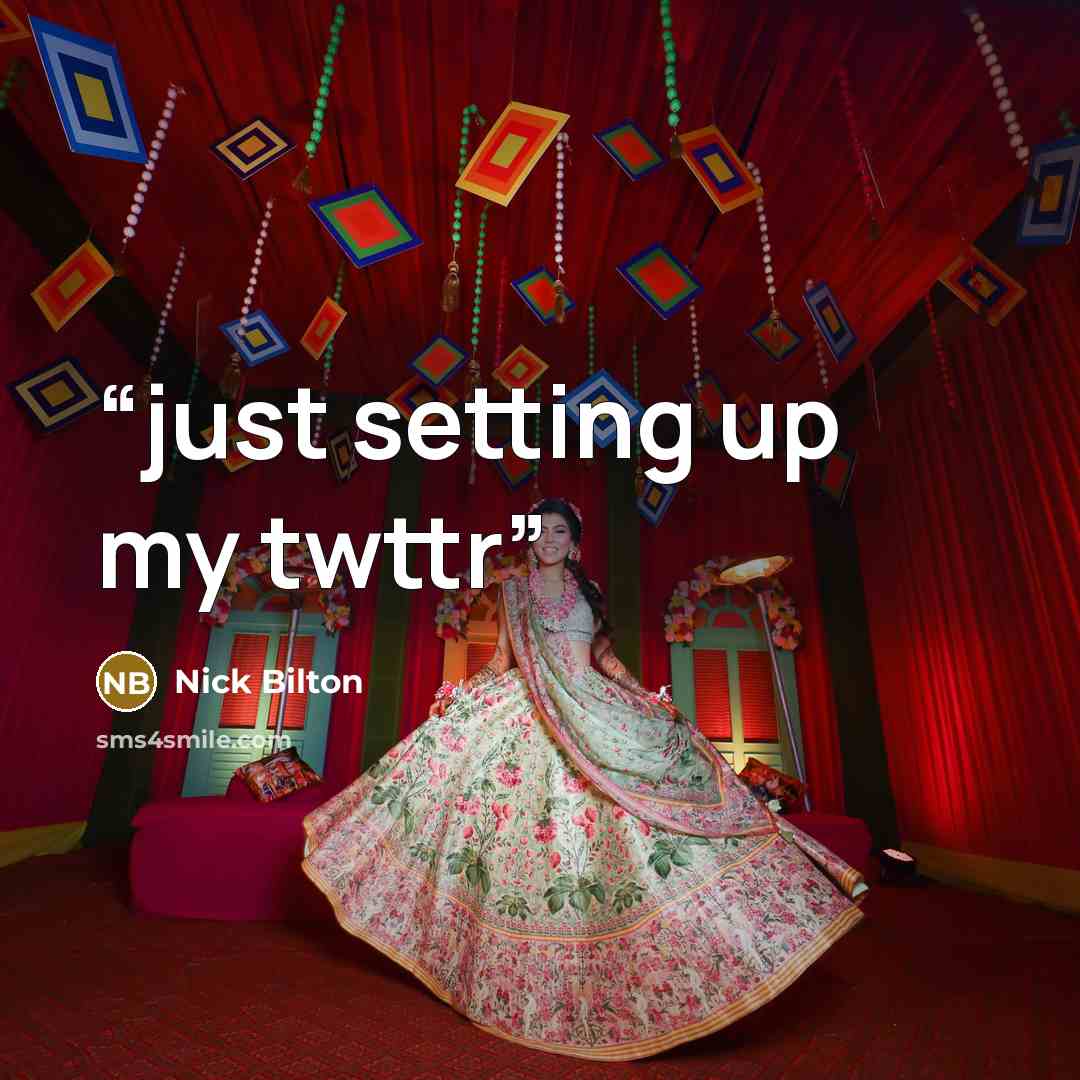 “just setting up my twttr” quote by Nick Bilton