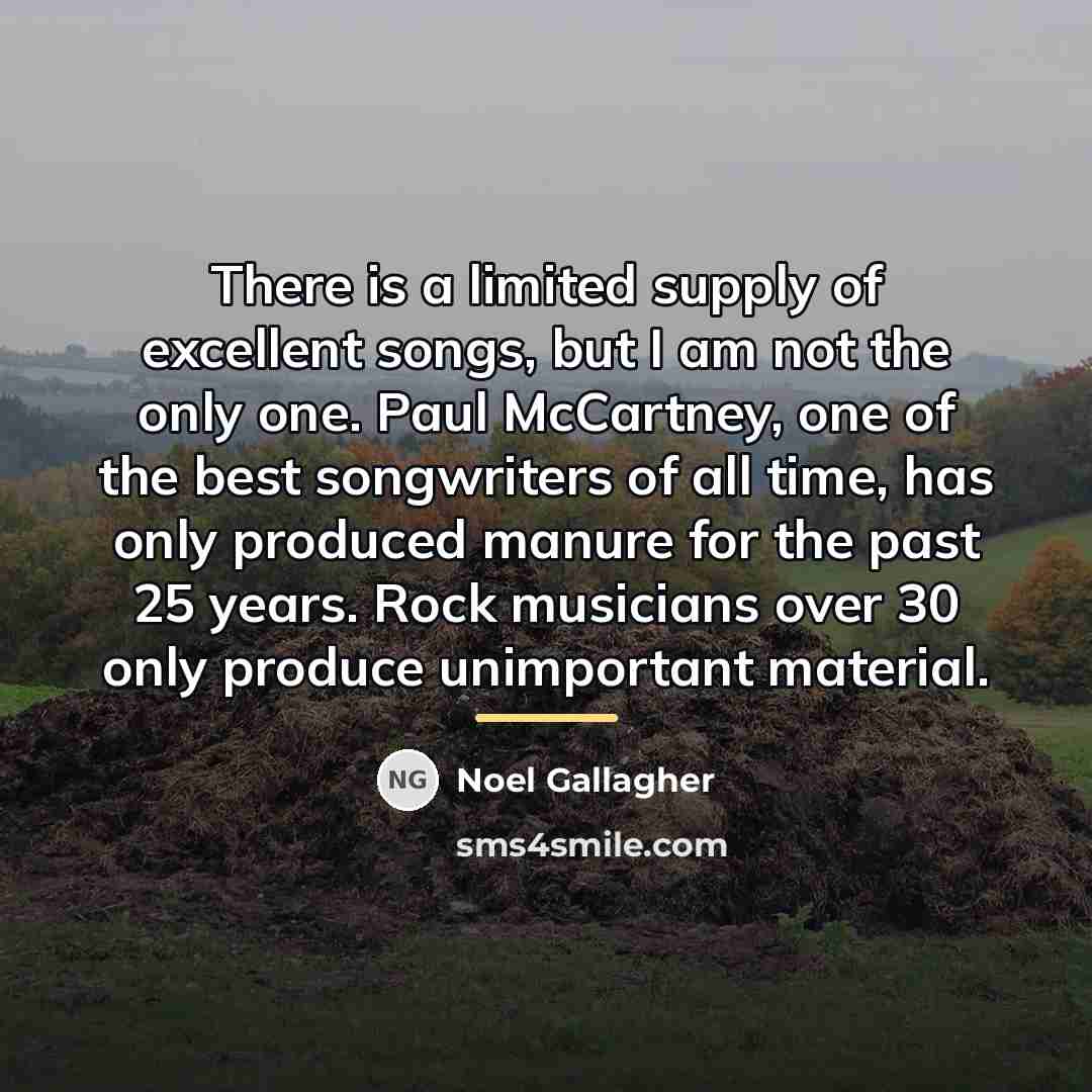 “There is a limited supply of excellent songs, but I…” quote by Noel Gallagher