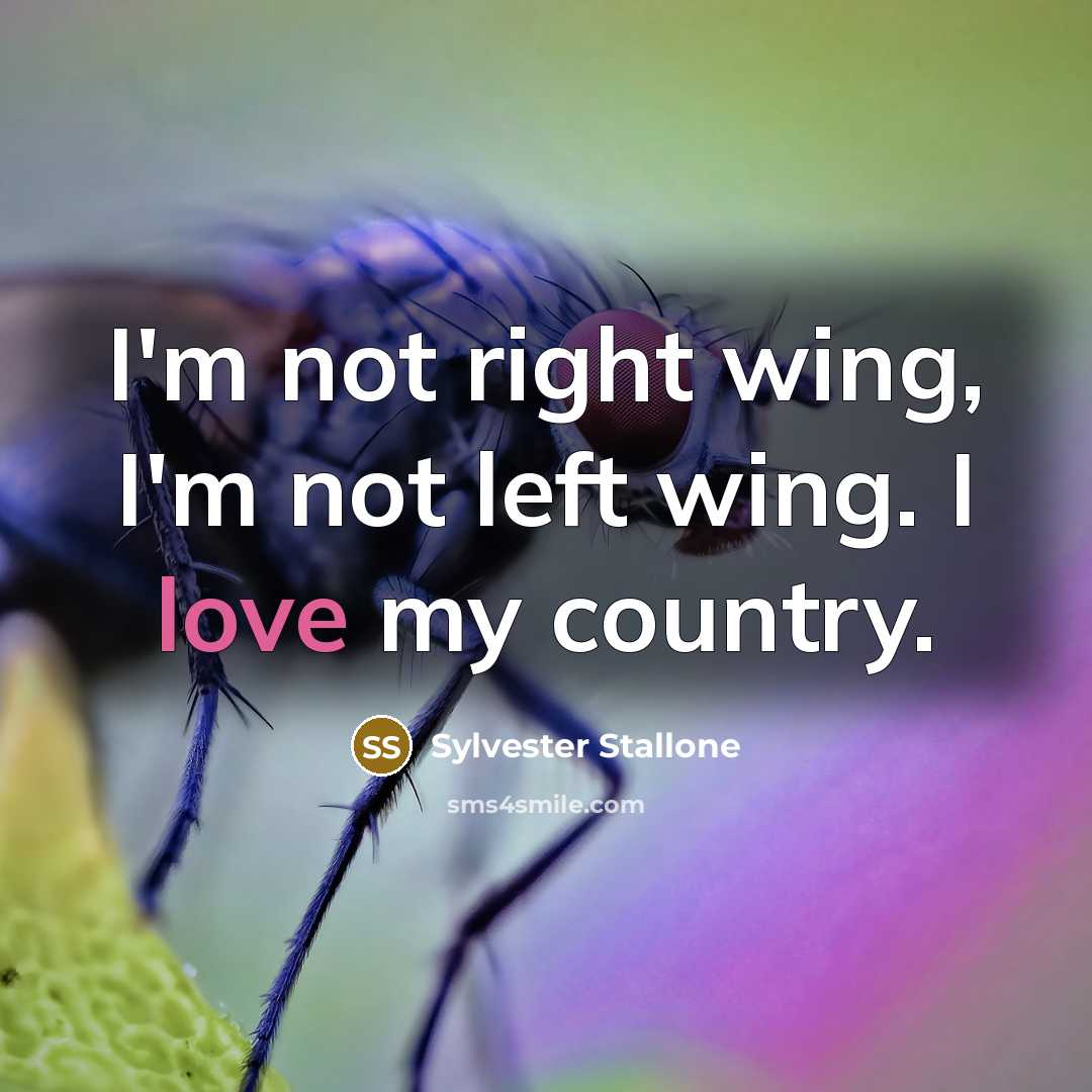 “I'm not right wing, I'm not left wing. I love…” quote by Sylvester Stallone