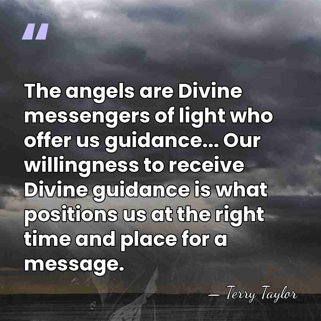 The angels are Divine messengers of light who offer us guidance... Our&hellip; - Terry Taylor