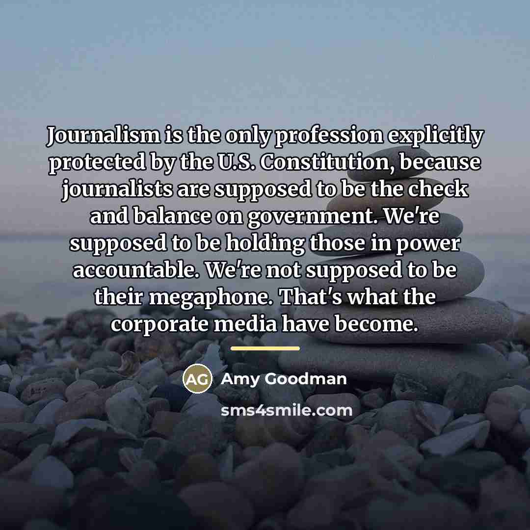 “Journalism is the only profession explicitly protected by the U.S.…” quote by Amy Goodman
