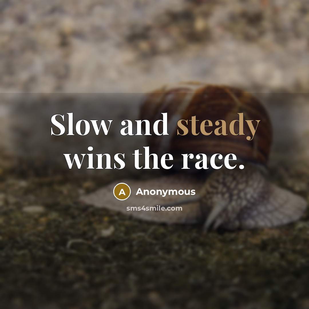 “Slow and steady wins the race.…” quote by Anonymous