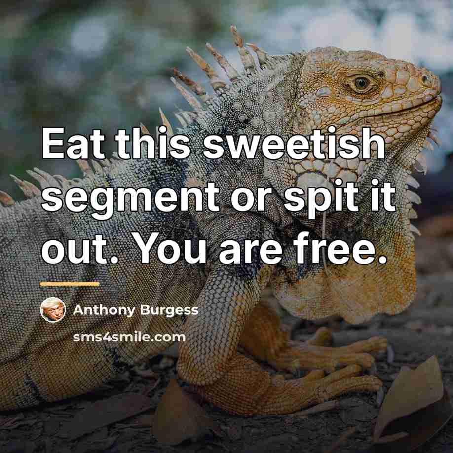 “Eat this sweetish segment or spit it out. You are…” quote by Anthony Burgess