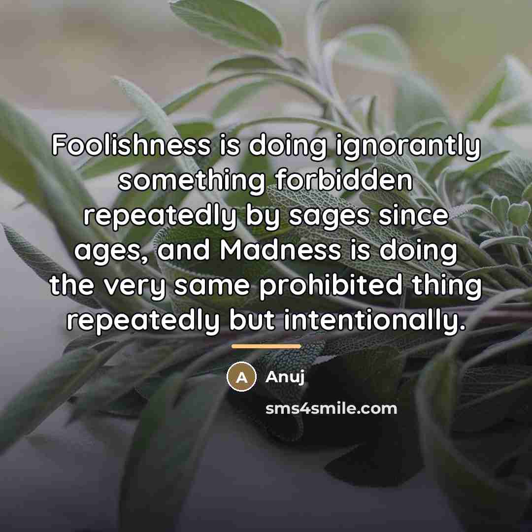 “Foolishness is doing ignorantly something forbidden repeatedly by sages since…” quote by Anuj
