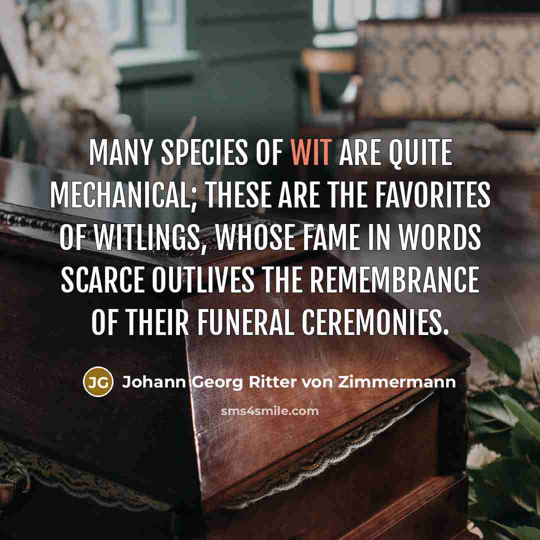 “Many species of wit are quite mechanical; these are the…” quote by Johann Georg Ritter von Zimmermann